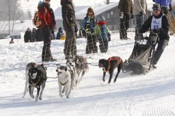 Lenk 2012 SM